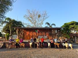 10 KPM Kalurahan Ponjong Terima Bantuan Kambing Betina Program Bansos Bumkalma Sumbarinten